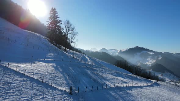 Sunlight over snowy mountain slope with trees in winter