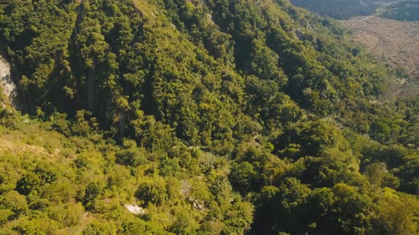 View of Mountain Forest Landscape alt