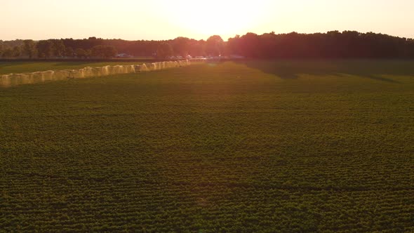 Aerial View Of Farm Fields And An Agricultural Sprinkler At Sunset.