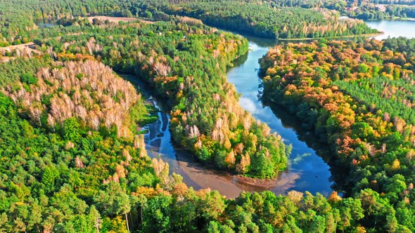 Autumn forest and curvy river. Perfect place for kayaking, Poland. alt