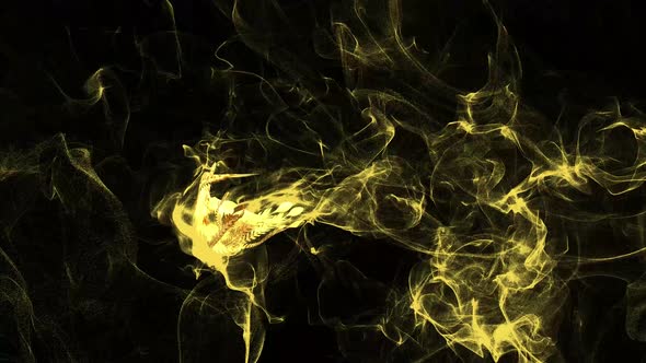 Chinese ink Phoenix02