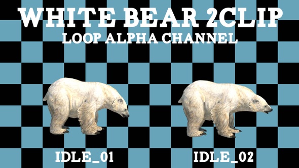 White Bear Idle 2 Clip Loop