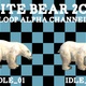 White Bear Idle 2 Clip Loop - VideoHive Item for Sale