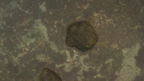 Ascending top down aerial over coastal shoreline sea shore alt