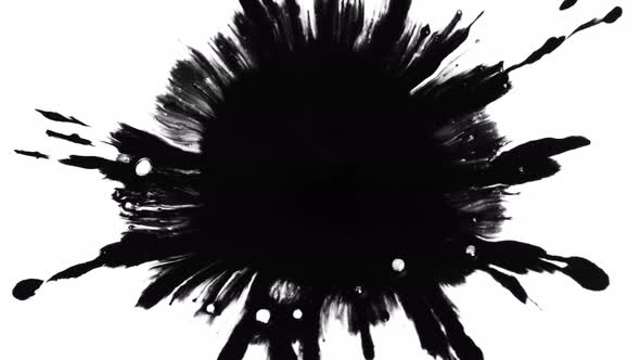 Super Slow Motion Shot of Black Ink Drop Isolated on White Background at 1000 Fps alt
