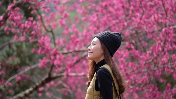 Slow motion of a beautiful young asian woman with pink cherry blossom flower in background