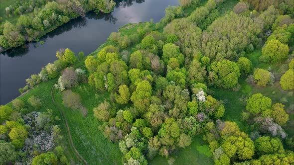 View of the river from above. Flight over water and forest trees from a height alt