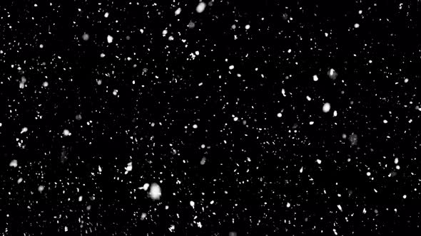 Snow flakes falling at night. Winter Snow. Falling snow isolated on black background