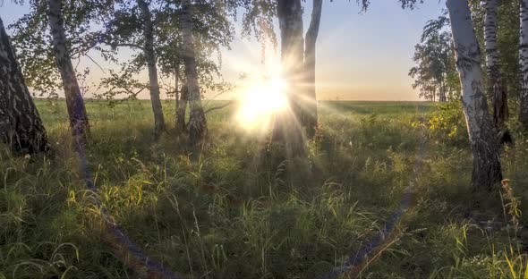 Meadow Timelapse at the Summer or Autumn Time alt