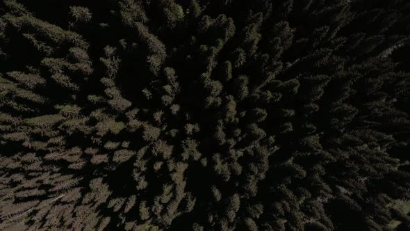 Nature Aerial Landscape Flight Over The Forest in Mountain With a Spin alt