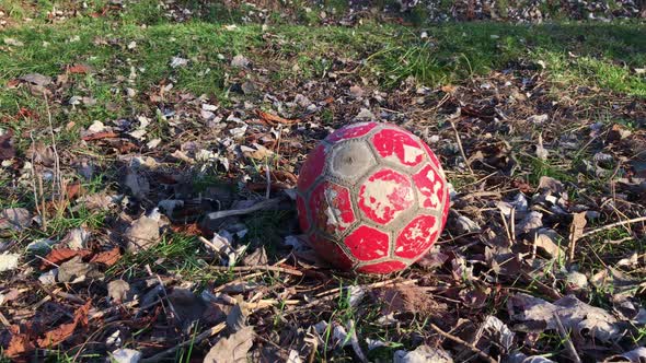 An old shabby soccer ball lies in the park on the grass.