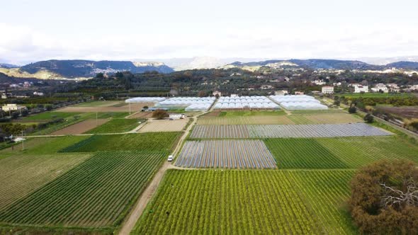 Agricultural leader with organic greenhouse alt