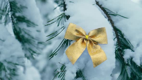 Snow Covered Gold Tied Bow on Fir Branch on Winter Snowy Background alt