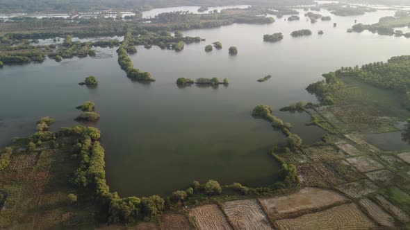Aerial view of river full of mangroves in Kerala alt
