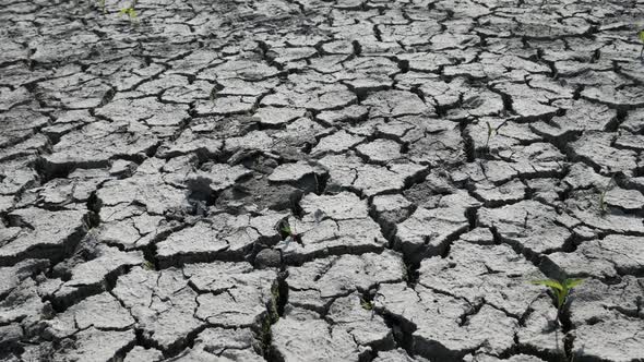 Drought and Crisis Environment on Dry Lake Bed with Cracked Ground