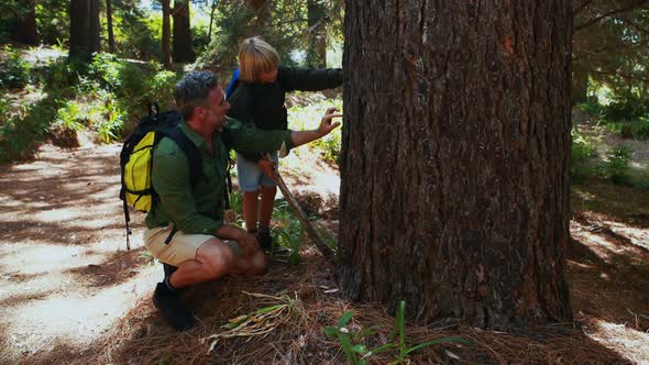 Father and son touching tree trunk in the park alt