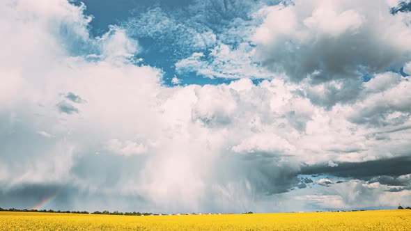 Dramatic Sky With Rain Clouds On Horizon Above Rural Landscape Canola Colza Rapeseed Field alt