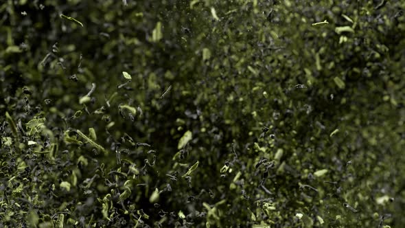 Super Slow Motion Shot of Falling Dried Tea Isolated on Black Background at 1000Fps alt