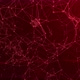 Plexus Red Lines Footage Animation - VideoHive Item for Sale