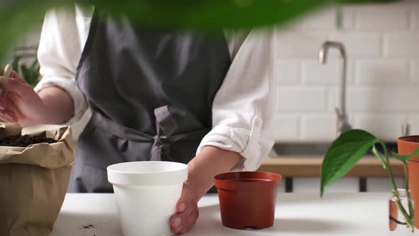 Florist Planting Transplants Plants Adding Soil For Plant Care, Girl Botanist With Garden Tools alt