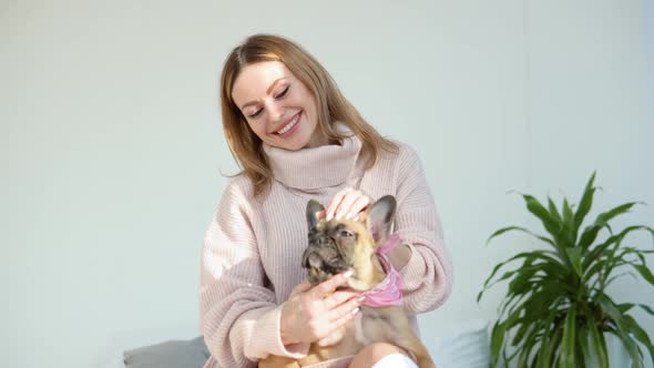 Beautiful Young Woman in Cozy Home Casual Wearing with a French Bulldog Dog in Her Arms Sits on a alt