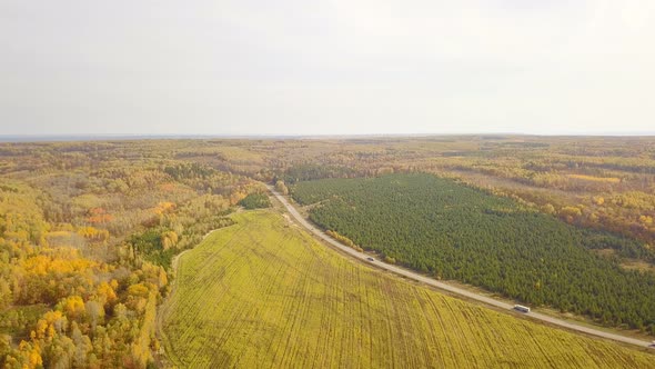 Autumn Forest Road From Above