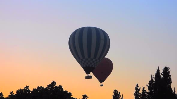 Hot Air Balloons Flying in Morning Sunrise Forest