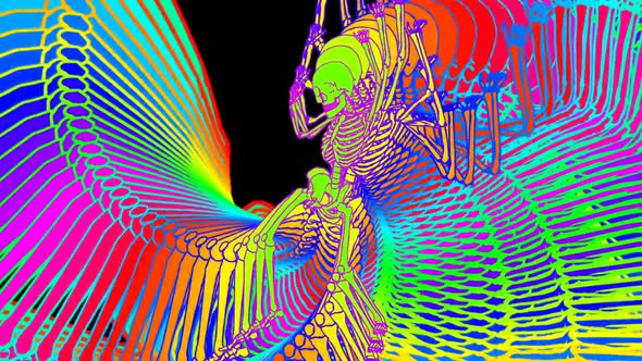  Rainbow echo effect skeleton alt