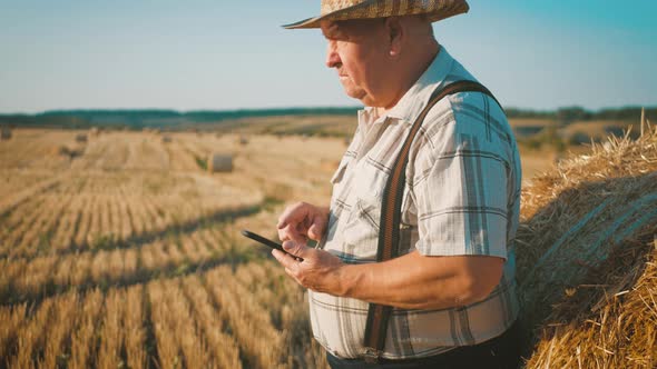 Old Farmer Uses Tablet in the Field Next To Haystack at Sunset. Smart Farming, Using Modern alt