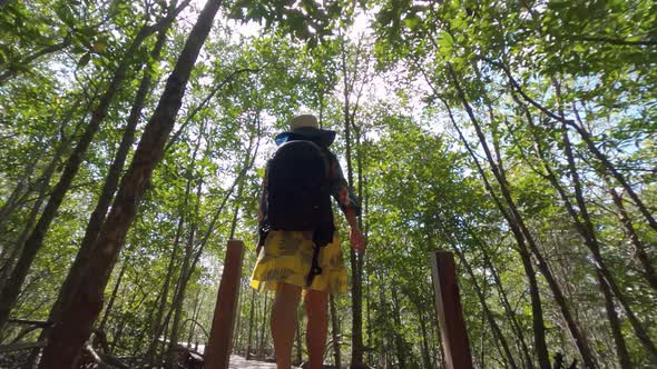 A young girl walking on a boardwalk in the middle of lush mangrove with slender green trees under br alt