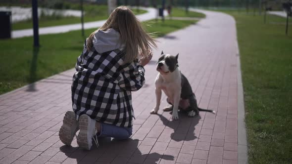 Back View of Young Woman Throwing Ball for Dog in Slow Motion Clapping Sitting on Sidewalk in alt