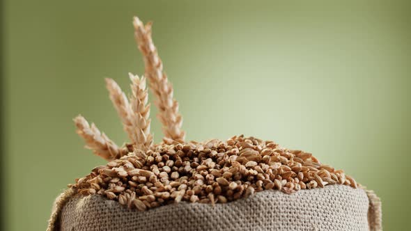 Malt Grains Closeup alt