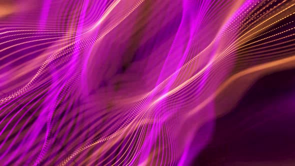 Pink color abstract line wave animation. A 25