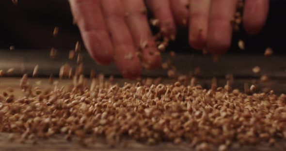 Pour Buckwheat With Your Hands On A Wooden Table