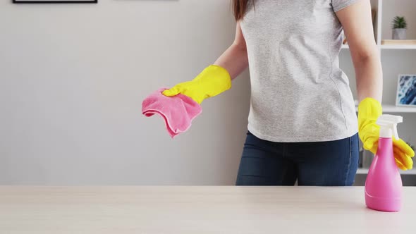 Home Cleaning Housewife Routine Hygiene Interior alt