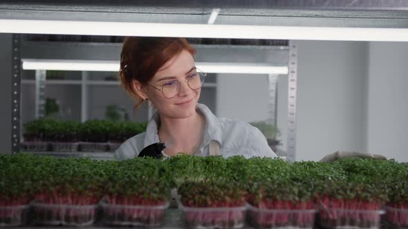 Organic Business Young Female Farmer with Glasses Tending Micro Green in Containers and Sprinkle alt