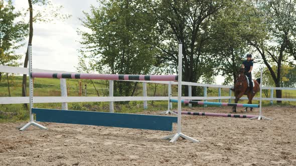 Female Jockey Riding On Her Dark Bay Horse Jumping Over Hurdles In The Sandy Arena alt