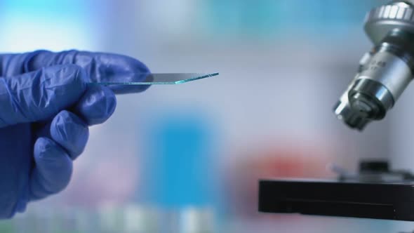 Doctor Examining Cord Blood of Fetus to Determine Genetic Abnormalities of Child alt