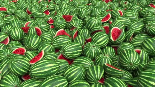 Endless Watermelons Loop alt