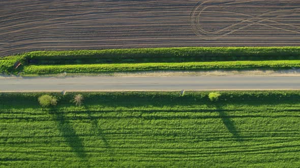 Road Among Green Fields and Meadows