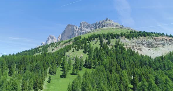 Moving Backward Away From Pine Woods Forest Grass Fields and Rocky Mountain in Summer