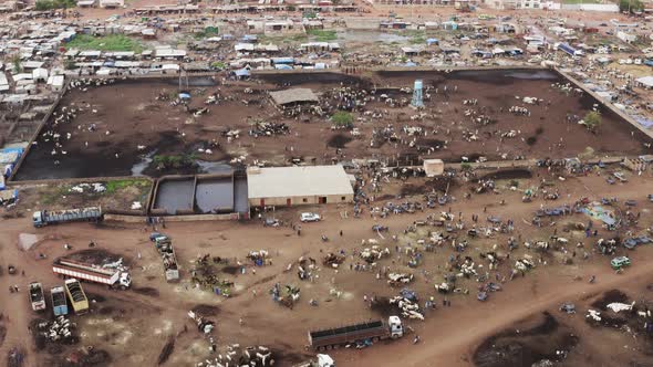 Africa Mali Village And Cattle Market Aerial View