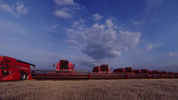 Red Harvesters