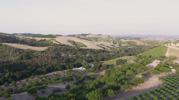 Aerial Drone Shot of a House in a Valley Surrounded by Vineyards (Paso Robles,California)