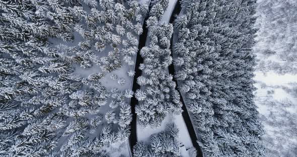 Overhead Aerial Top View Over Hairpin Bend Turn Road in Mountain Snow Covered Winter Forest