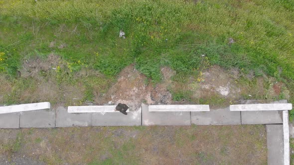Woman Walking Outdoors Top View alt
