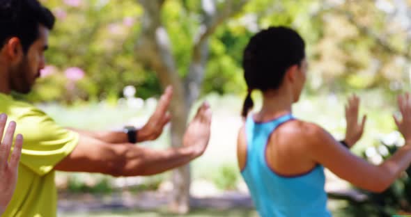Group of people exercising in the park 4k alt