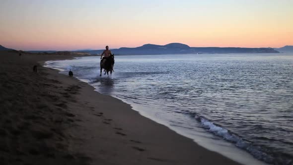 Man Horse Riding At The Beach