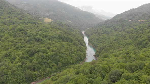 Dense Forest River and Clouds