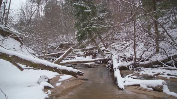 Slowly Running Water in a Shallow Stream on a Winter in a Forest